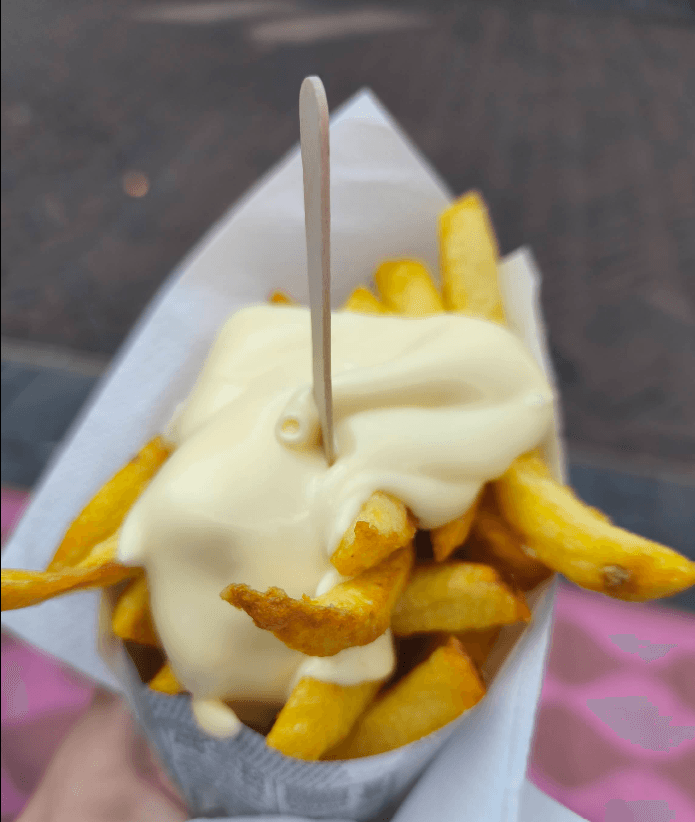 Verse patat met frietsaus in een bakje